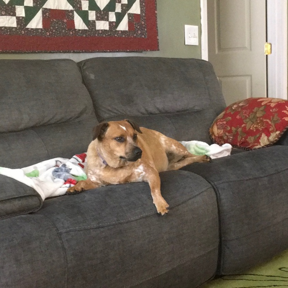 Meet your Posher, Jean